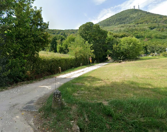 immagine annuncio 12 di 13