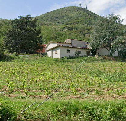 immagine annuncio 7 di 13