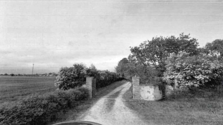 immagine annuncio 5 di 13