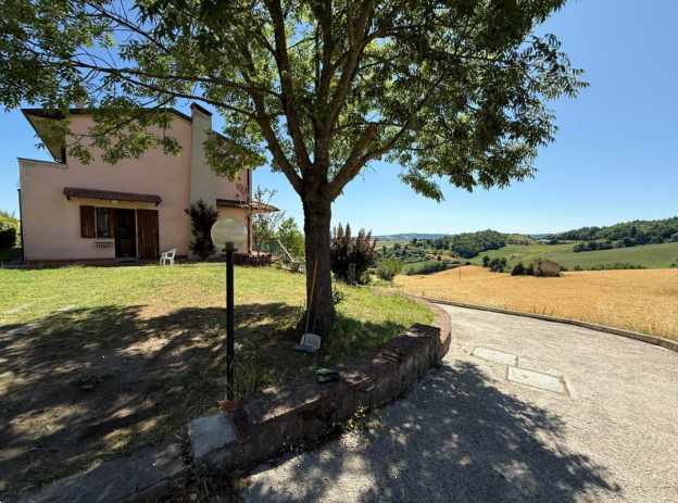 immagine annuncio 3 di 13