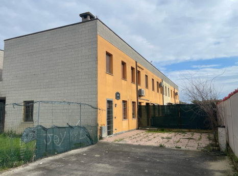 immagine annuncio 3 di 13