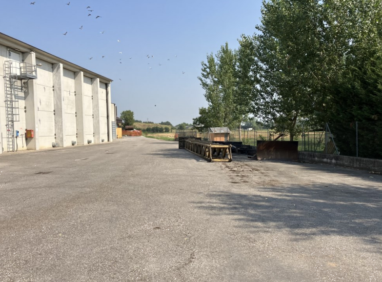 immagine annuncio 9 di 13