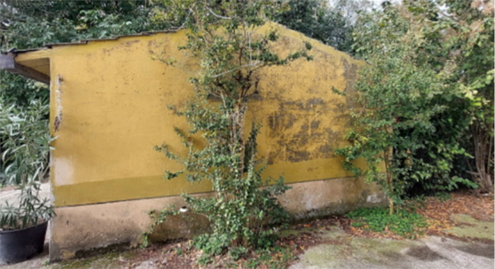 immagine annuncio 5 di 13