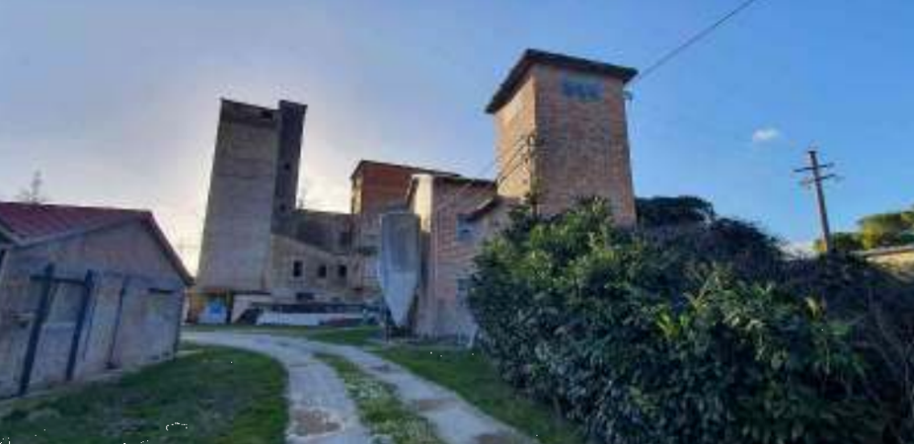 immagine annuncio 1 di 13