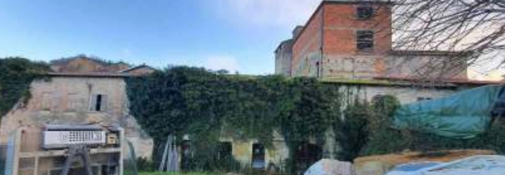 immagine annuncio 2 di 13