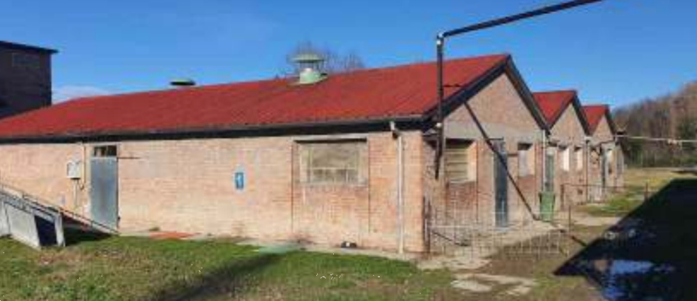 immagine annuncio 4 di 13