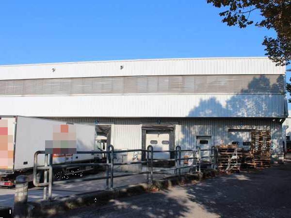 immagine annuncio 3 di 12