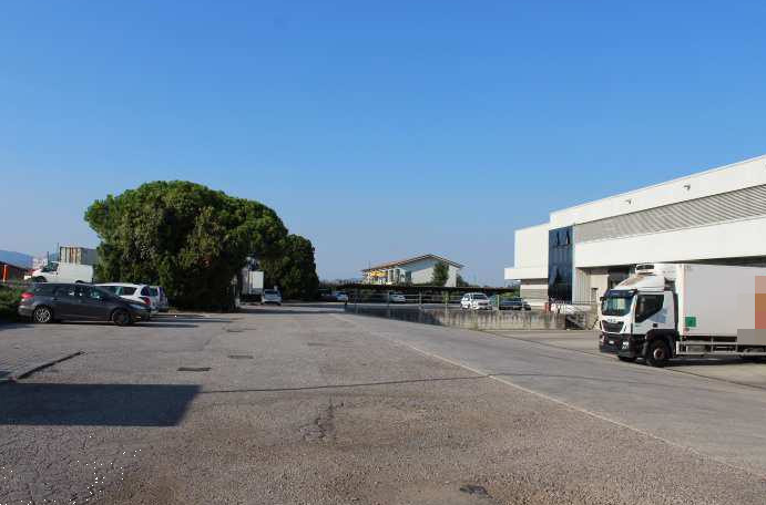 immagine annuncio 7 di 12