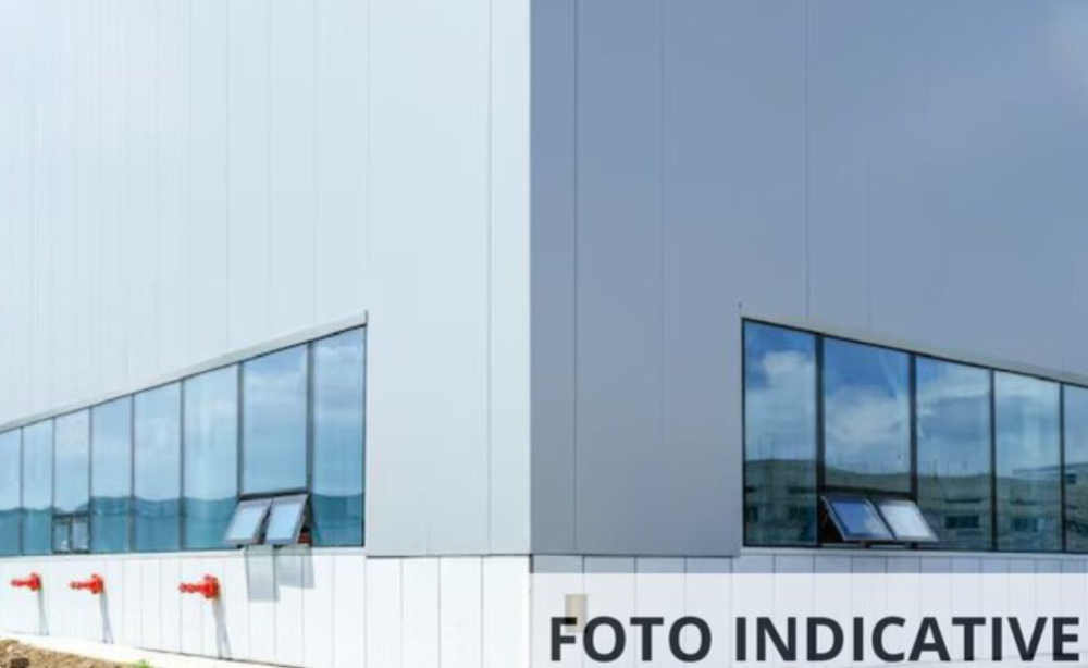 immagine annuncio 2 di 12