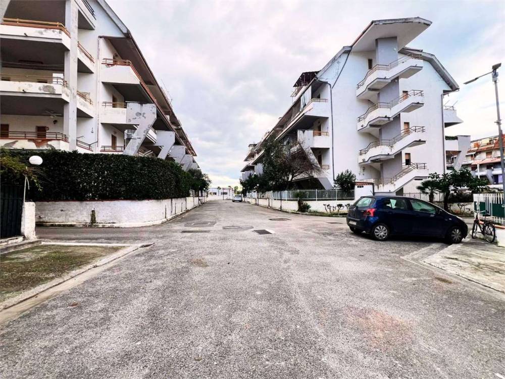 immagine annuncio 10 di 11