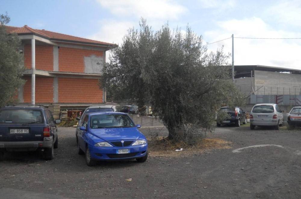 immagine annuncio 8 di 9