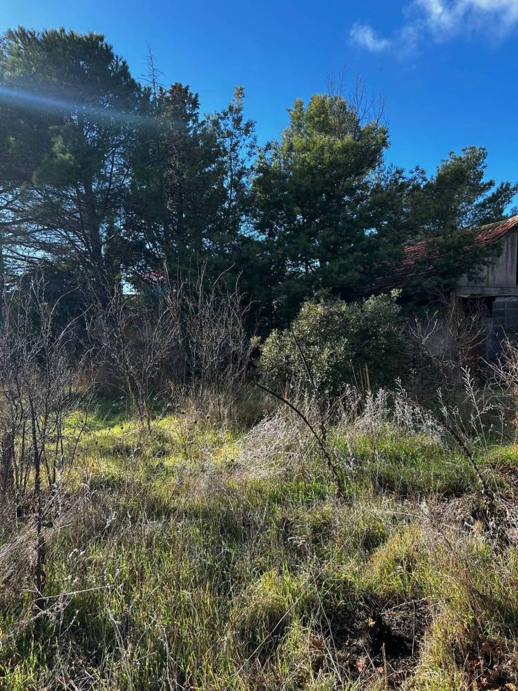 immagine annuncio 8 di 13