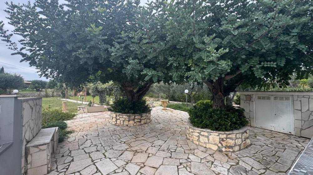 immagine annuncio 4 di 13