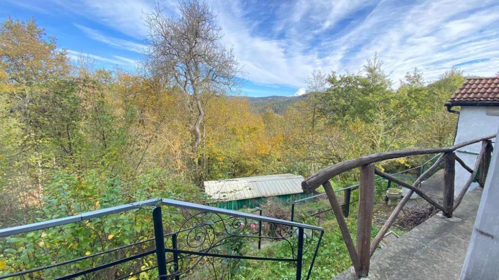 immagine annuncio 2 di 13