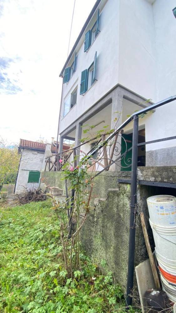 immagine annuncio 3 di 13