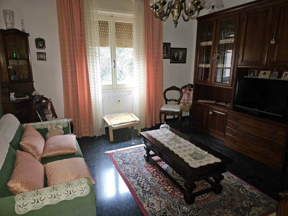 immagine annuncio 3 di 12