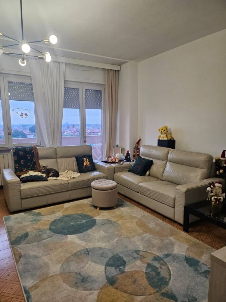 immagine annuncio 8 di 13