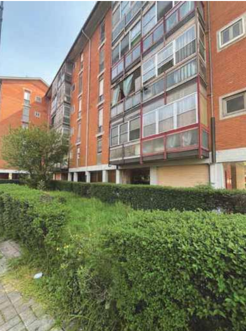 immagine annuncio 1 di 13