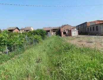 immagine annuncio 10 di 13