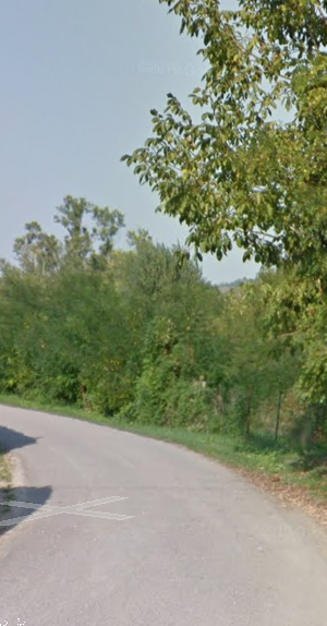 immagine annuncio 8 di 13