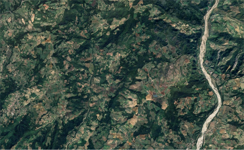 immagine annuncio 12 di 13