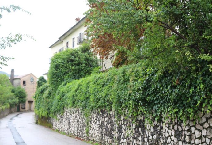 immagine annuncio 2 di 13