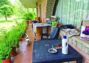 immagine annuncio 3 di 13