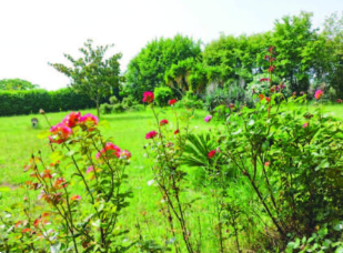 immagine annuncio 7 di 13