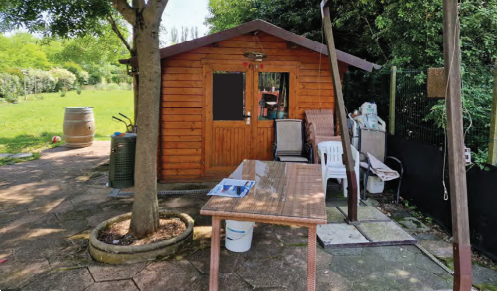 immagine annuncio 3 di 13