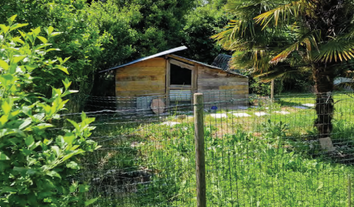 immagine annuncio 4 di 13