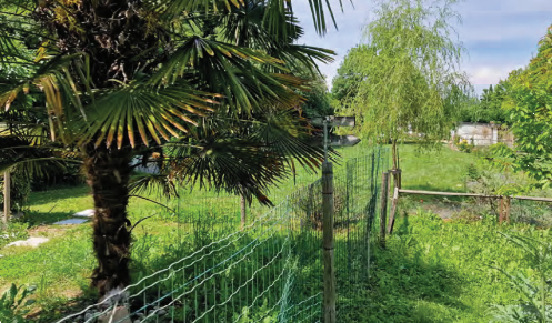 immagine annuncio 5 di 13