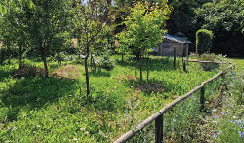 immagine annuncio 7 di 13