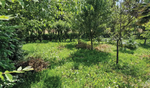 immagine annuncio 8 di 13