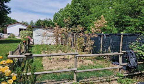 immagine annuncio 10 di 13