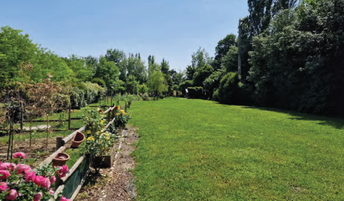 immagine annuncio 11 di 13