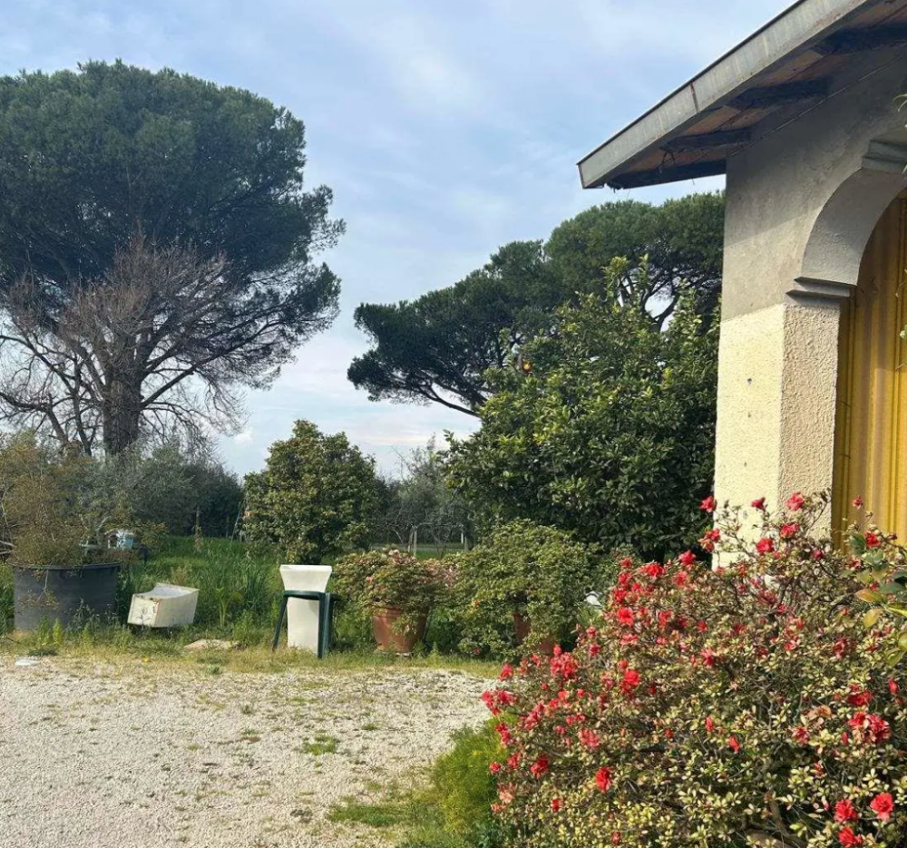 immagine annuncio 2 di 13