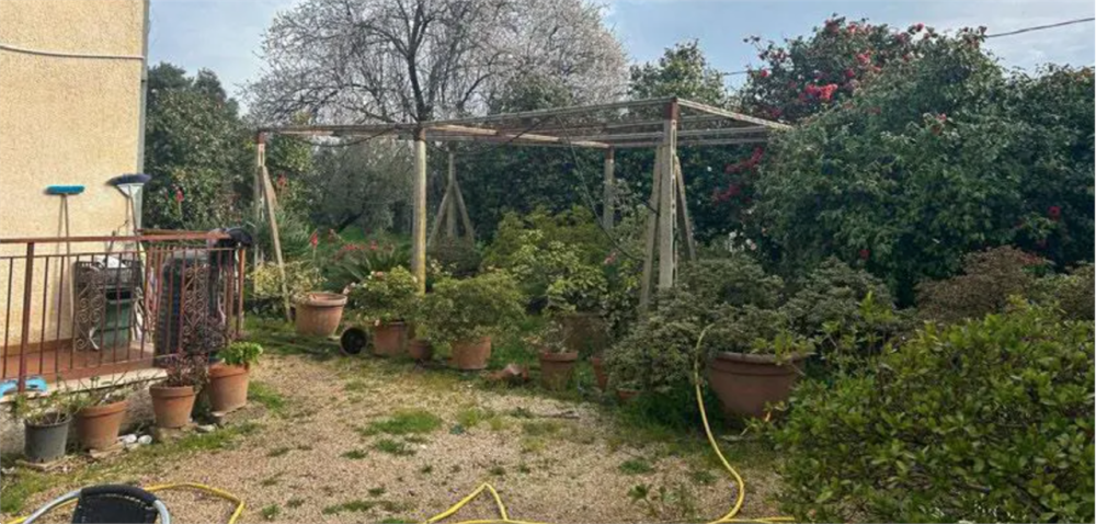 immagine annuncio 4 di 13