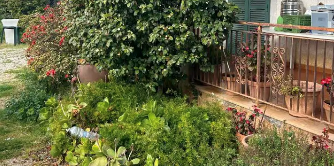 immagine annuncio 7 di 13