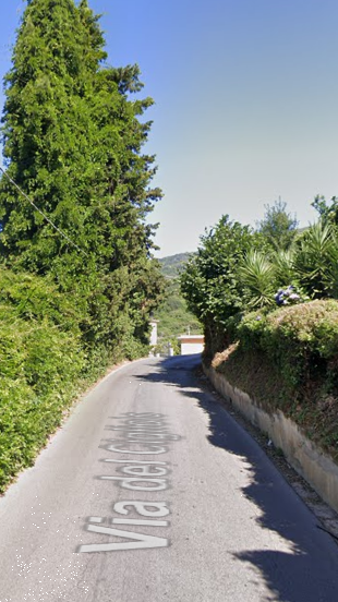 immagine annuncio 3 di 13