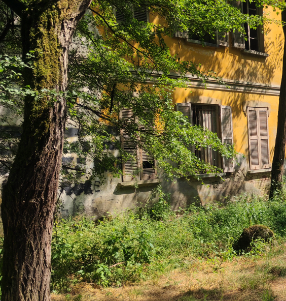 immagine annuncio 2 di 13