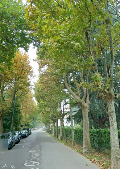 immagine annuncio 6 di 13