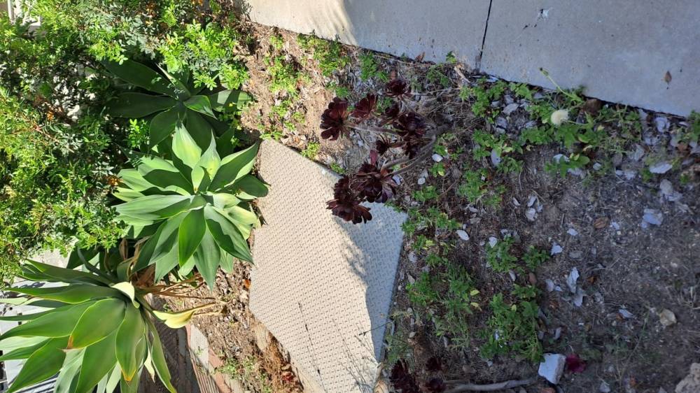 ufficio in vendita a Quartu Sant'Elena