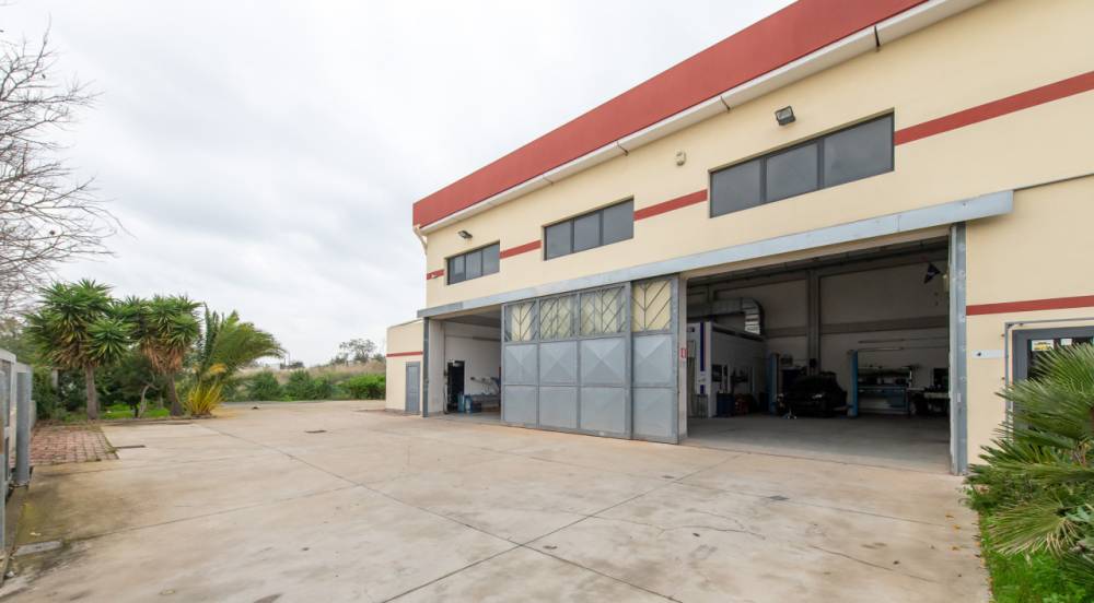 immagine annuncio 4 di 13