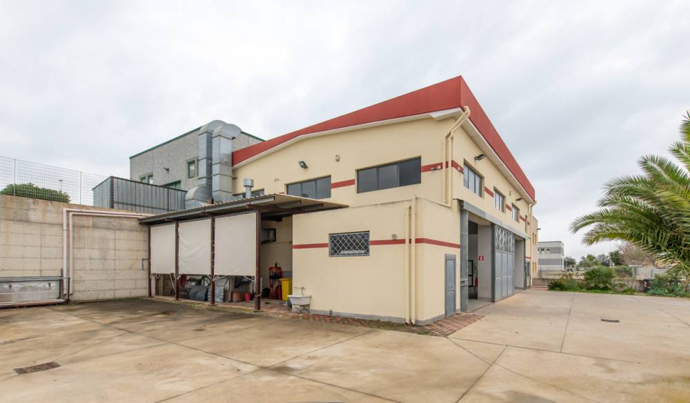 immagine annuncio 6 di 13