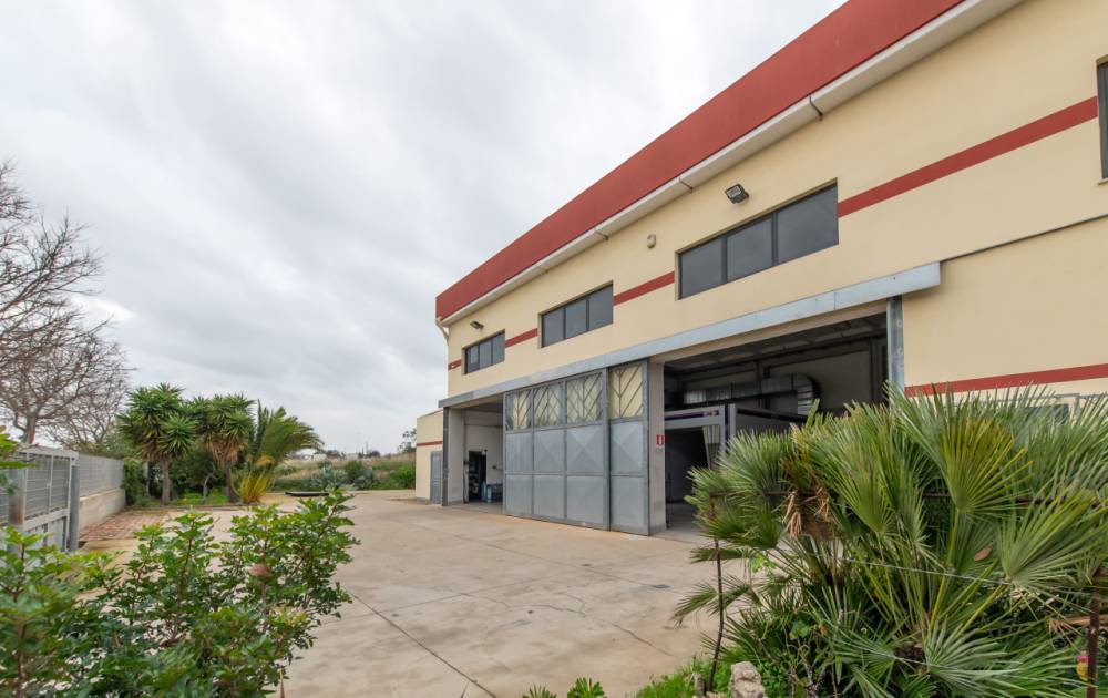 immagine annuncio 7 di 13