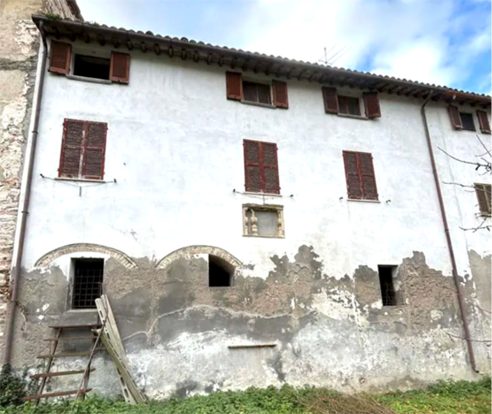 immagine annuncio 1 di 13