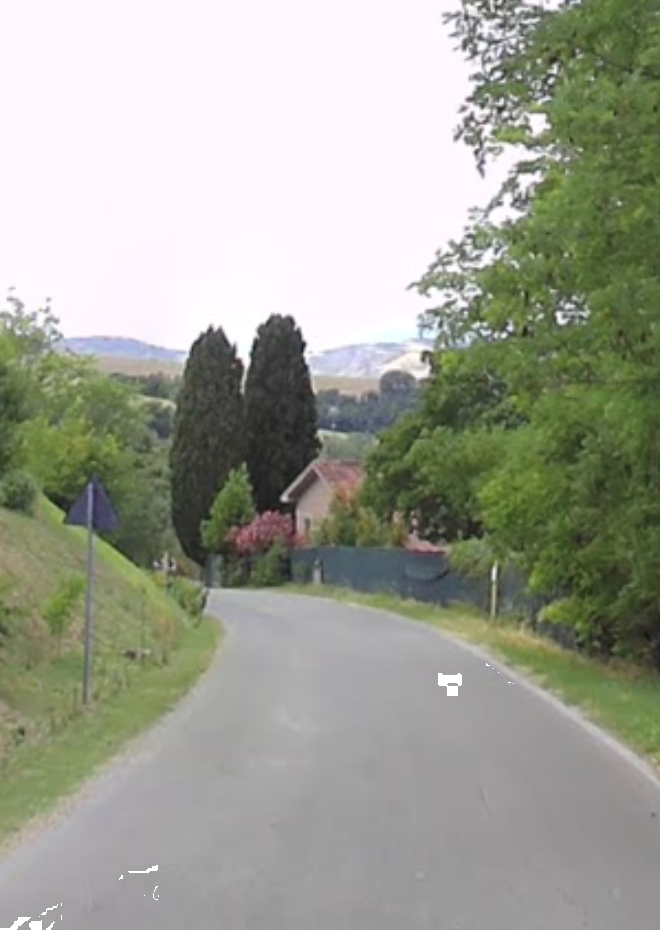 immagine annuncio 11 di 13