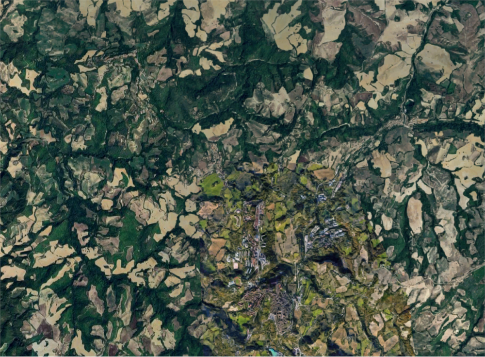 immagine annuncio 9 di 13