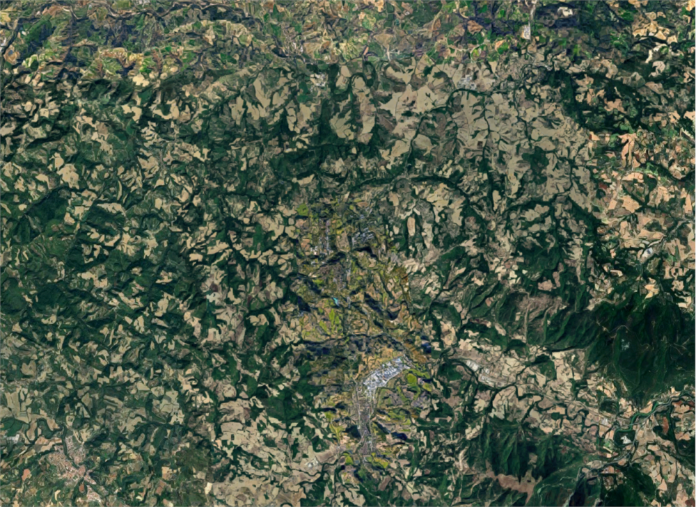 immagine annuncio 10 di 13