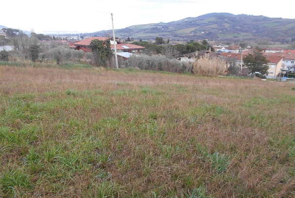 immagine annuncio 10 di 13